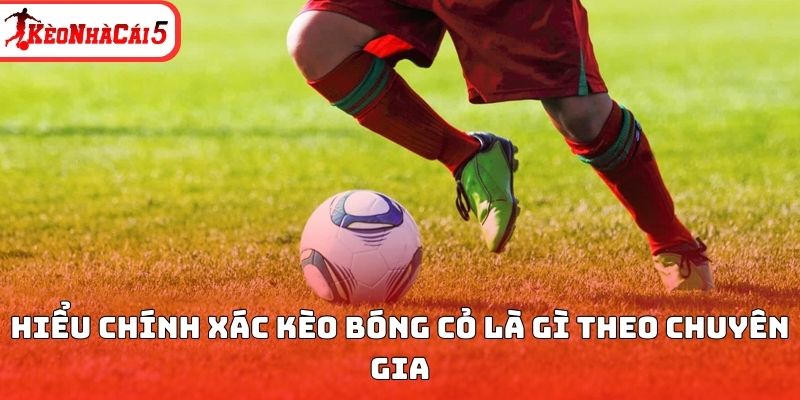 Hiểu chính xác kèo bóng cỏ là gì theo chuyên gia