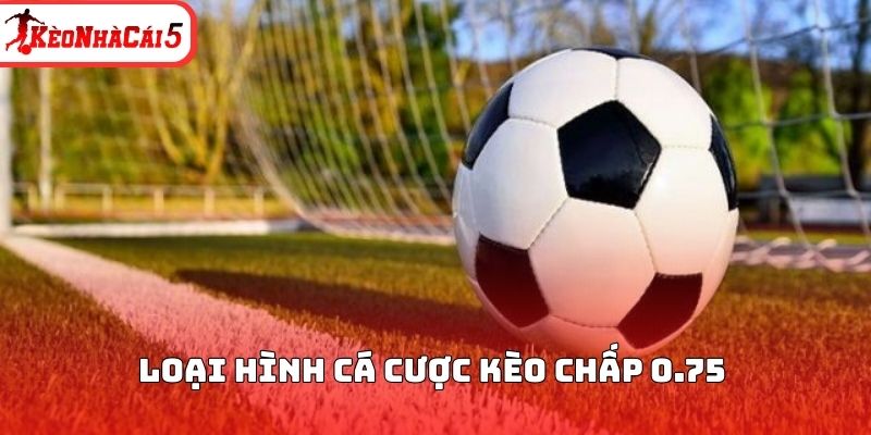 Loại hình cá cược kèo chấp 0.75