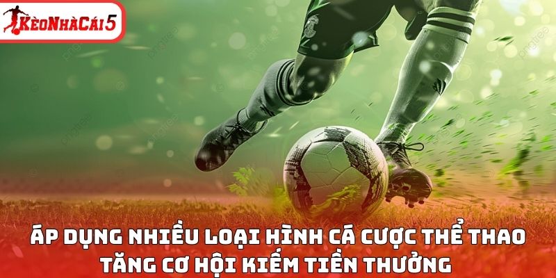 Áp dụng nhiều loại hình cá cược thể thao tăng cơ hội kiếm tiền thưởng 