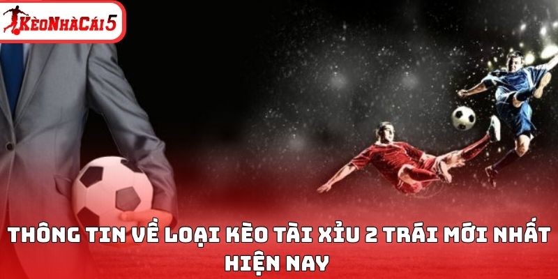 Thông tin về loại kèo tài xỉu 2 trái mới nhất hiện nay 