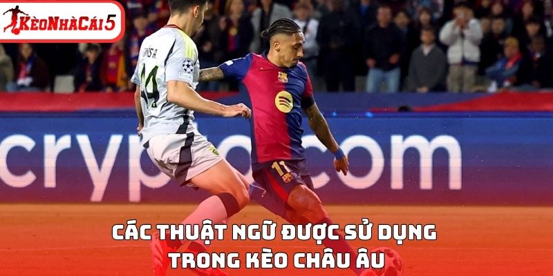 Các thuật ngữ được sử dụng trong kèo châu Âu