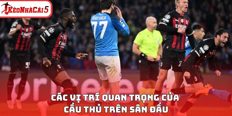 Các vị trí quan trọng của cầu thủ trên sân đấu