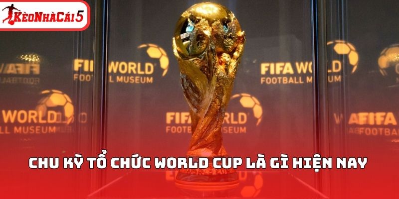 Chu kỳ tổ chức World Cup là gì hiện nay