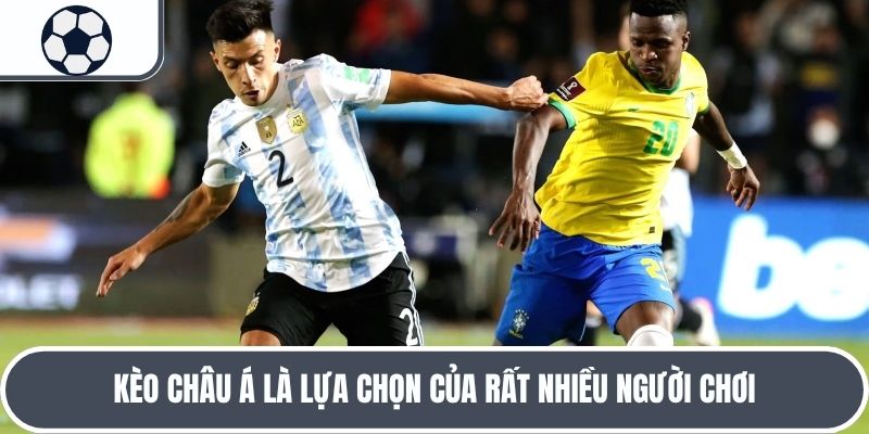 Kèo châu Á là lựa chọn của rất nhiều người chơi