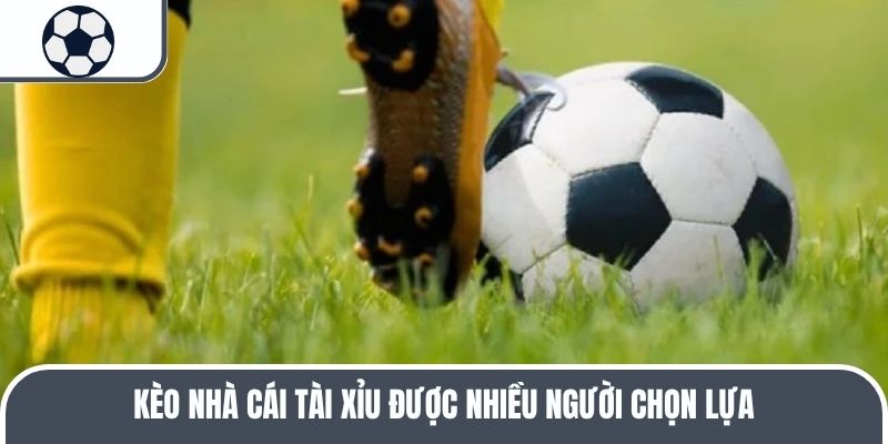 Kèo nhà cái tài xỉu được nhiều người chọn lựa